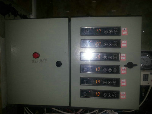 天天小海鲜鱼缸