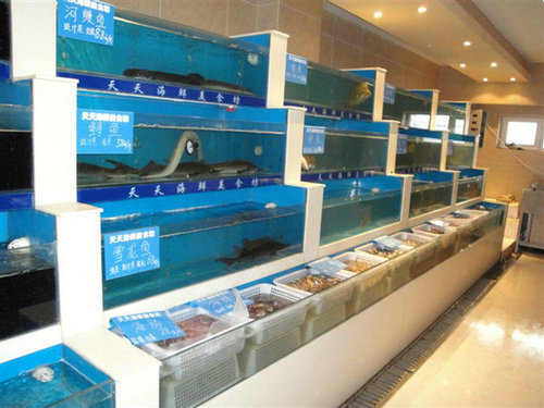 天天海鲜美食坊鱼缸