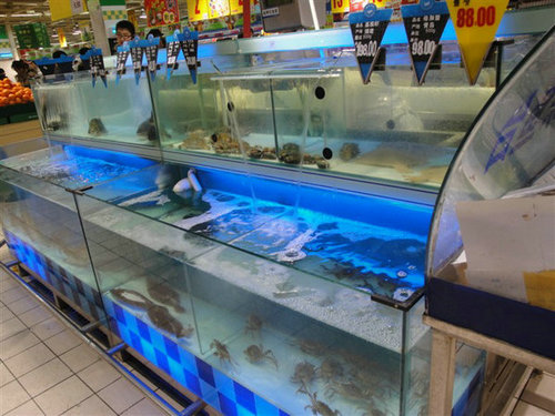 沈阳乐购鱼缸