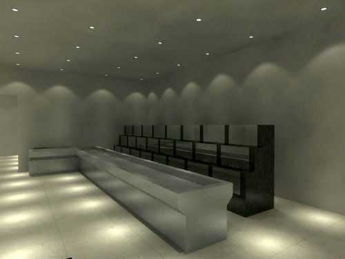 天天小海鲜鱼缸