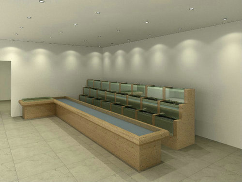 天天小海鲜鱼缸