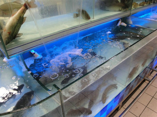 沈阳乐购鱼缸