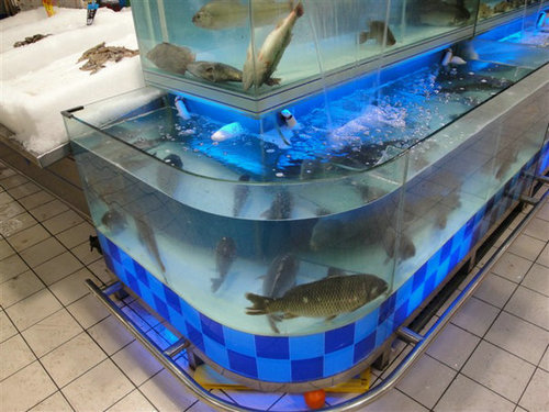 沈阳乐购鱼缸