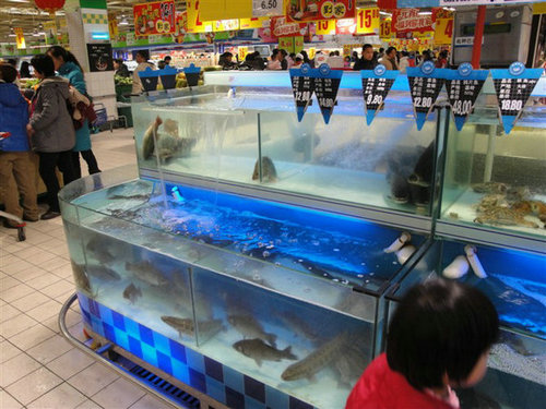沈阳乐购鱼缸