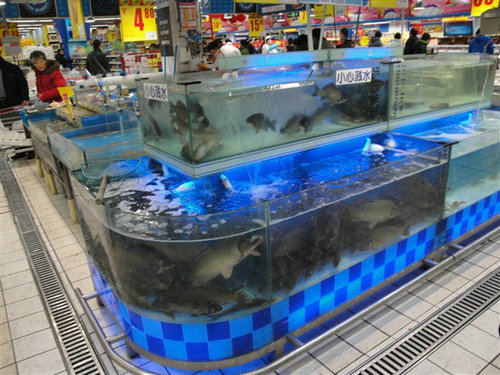 沈阳乐购鱼缸