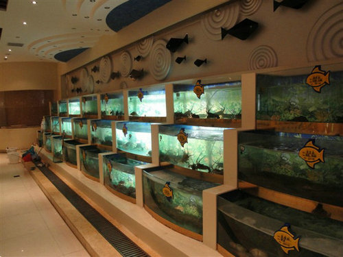 辽宁大厦鱼缸